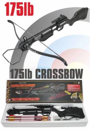 175Lb Standard Crossbow
