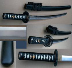 Practical Plus Wakizashi