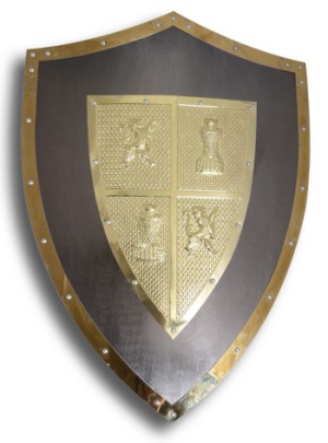 Dark Silver Shield
