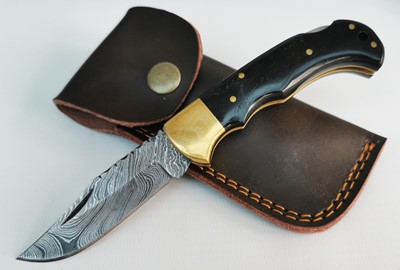 Horn Damascus Folder