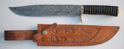 Kingsnake Bowie  - (BLK)