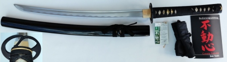 Premium Wakizashi (713)